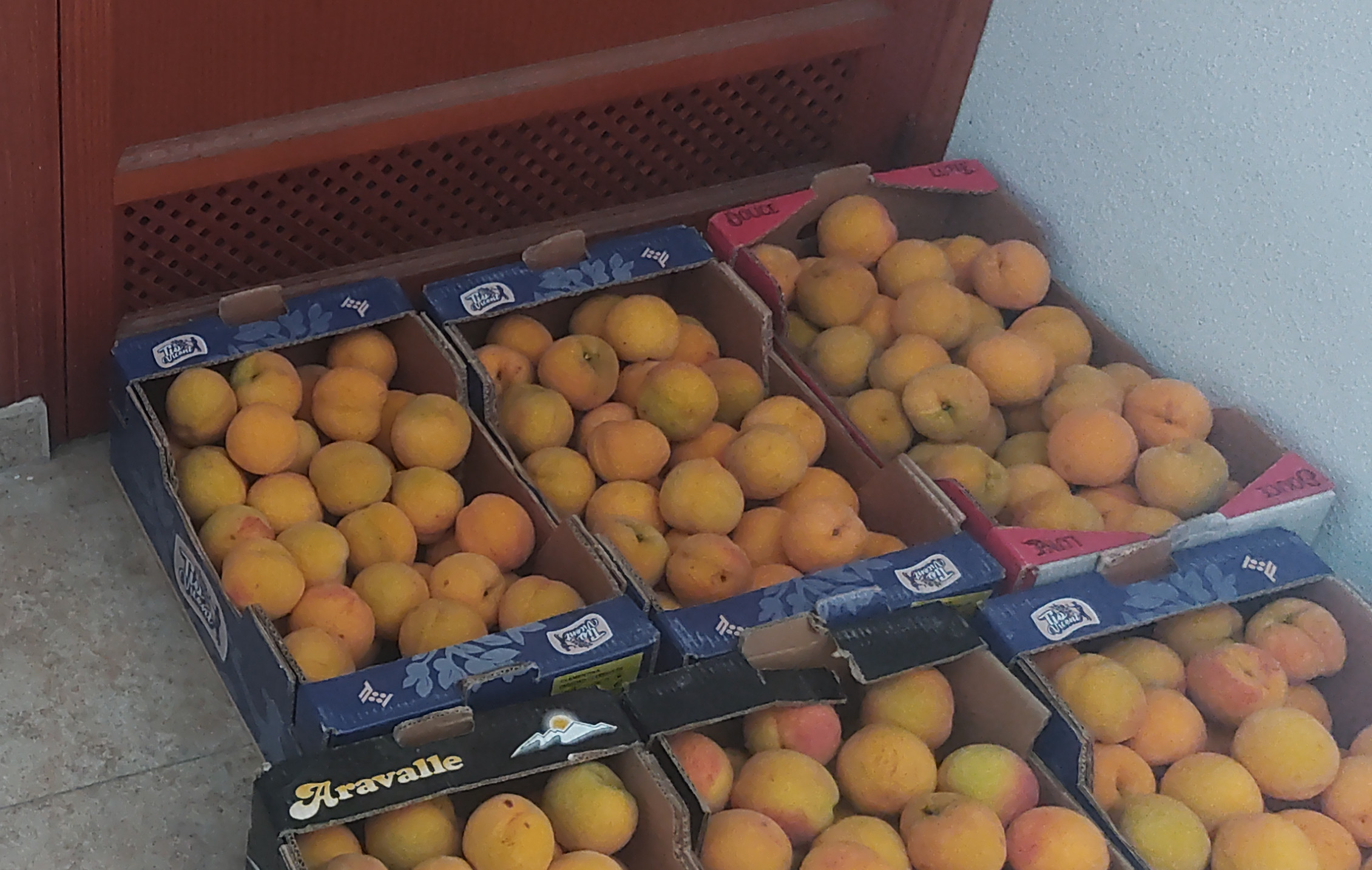 Melocotón Pequeños